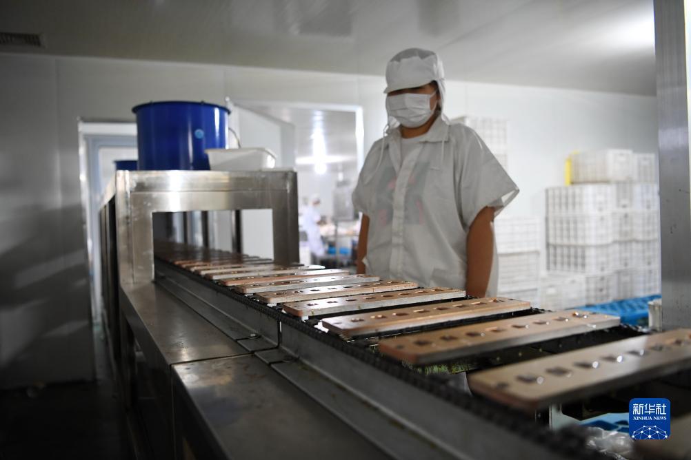 永利网投官网